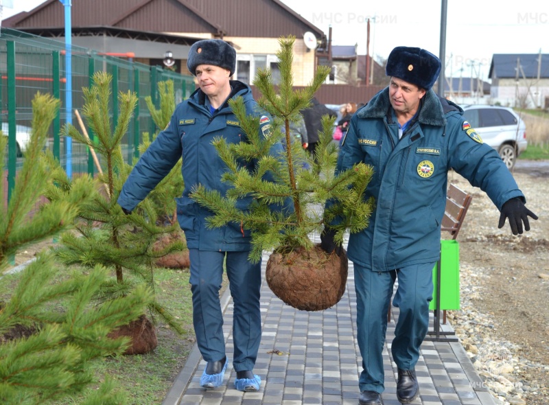 В Белореченске посадили деревья