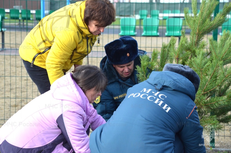 В Белореченске посадили деревья