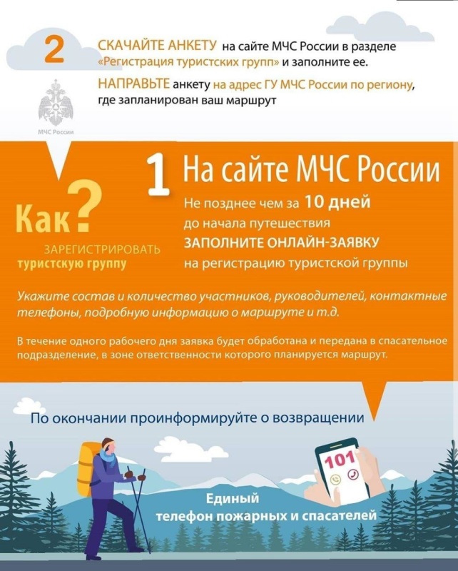 Инфографика